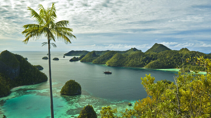 tropical island bay with palm tree