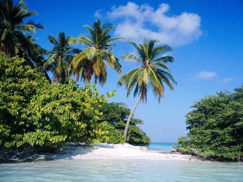 Tropical Island Beach — Blue, Sand