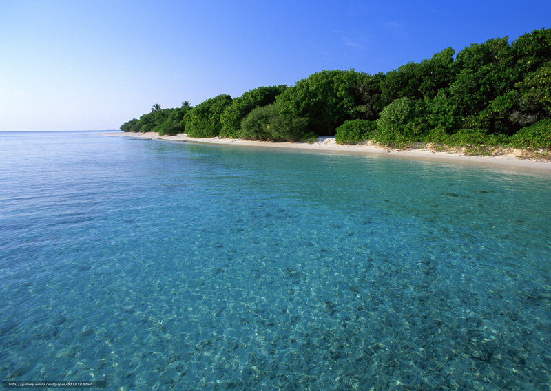 Tropical Island Beach — Blue, Serene, Afternoon, Photograph, Ocean, Sand