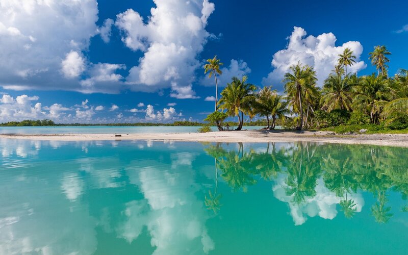 Tropical Island Beach — Blue, Serene, Afternoon, Photograph, Palm Trees, Clouds
