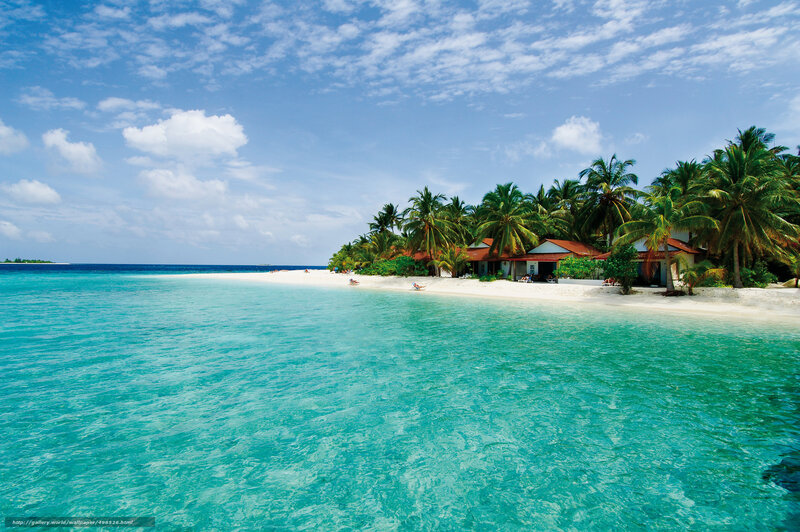 Tropical Island Beach — Blue, Serene, Afternoon, Photograph, Palm Trees, Huts