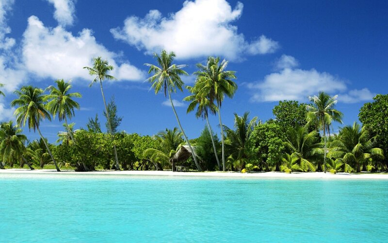 Tropical Island Beach — Blue, Serene, Afternoon, Photograph, Palm Trees, Ocean, Sky