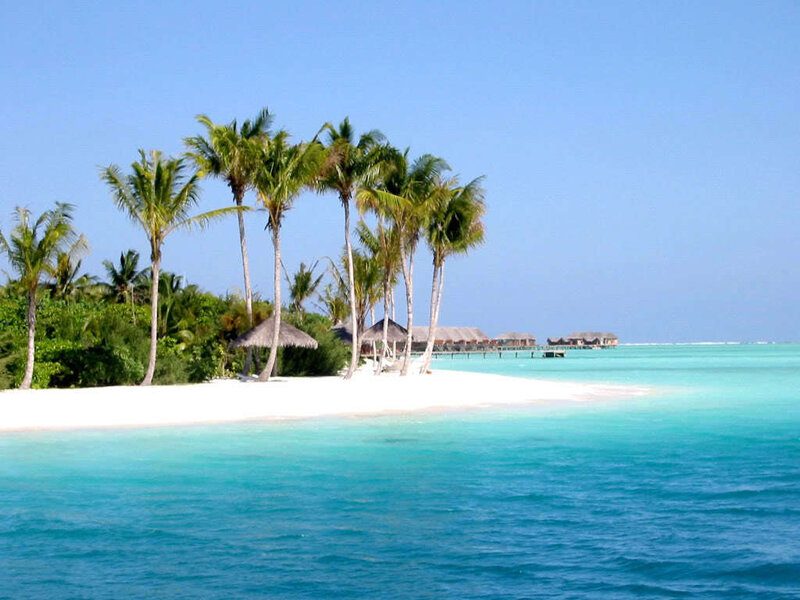 Tropical Island Beach — Blue, Serene, Afternoon, Photograph, Palm Trees, Thatched Huts