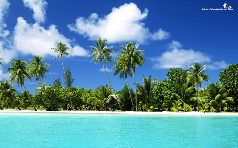 Tropical Island Beach — Blue, Serene, Afternoon, Photograph, Palm Trees