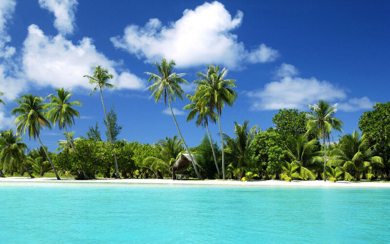Tropical Island Beach — Blue, Serene, Afternoon, Photograph, Palm Trees, White Sand, Ocean