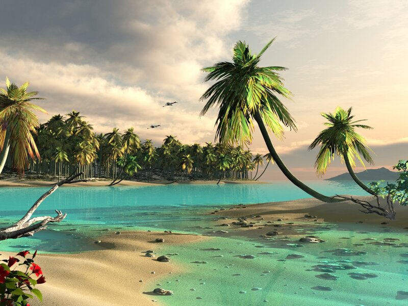 Tropical Island Beach — Blue, Serene, Sunset, 3d Render