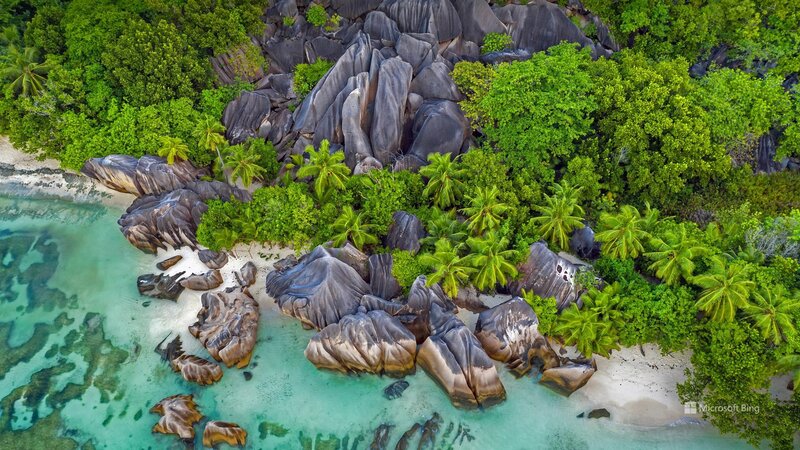 Tropical Island Beach — Green, Serene, Afternoon, Photograph, Palm Trees