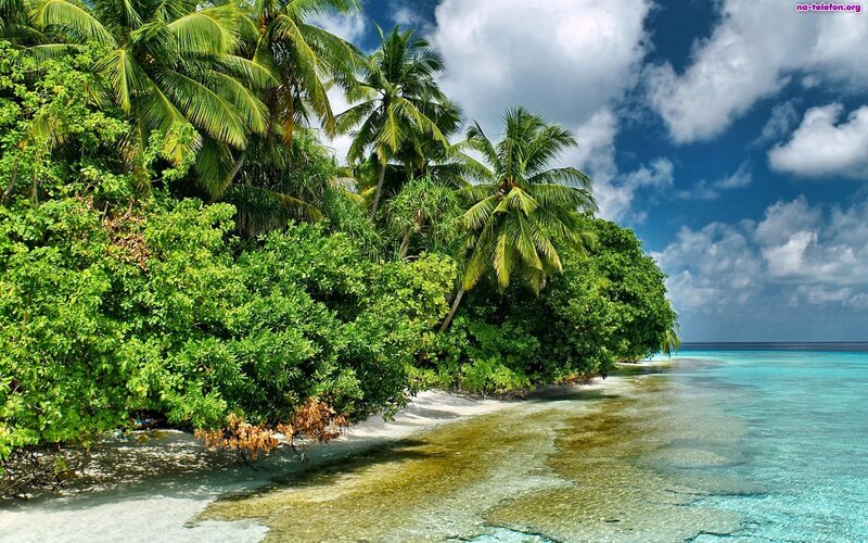 Tropical Island Beach — Green, Serene, Afternoon, Photograph
