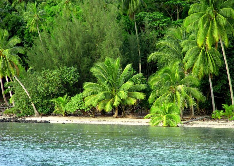 Tropical Island Beach — Green, Serene, Afternoon