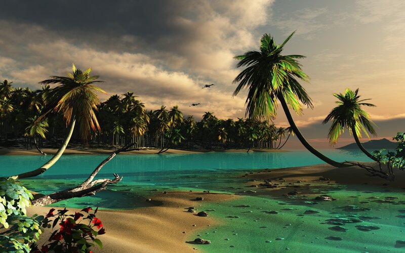 Tropical Island Beach — Green, Serene, Sunset