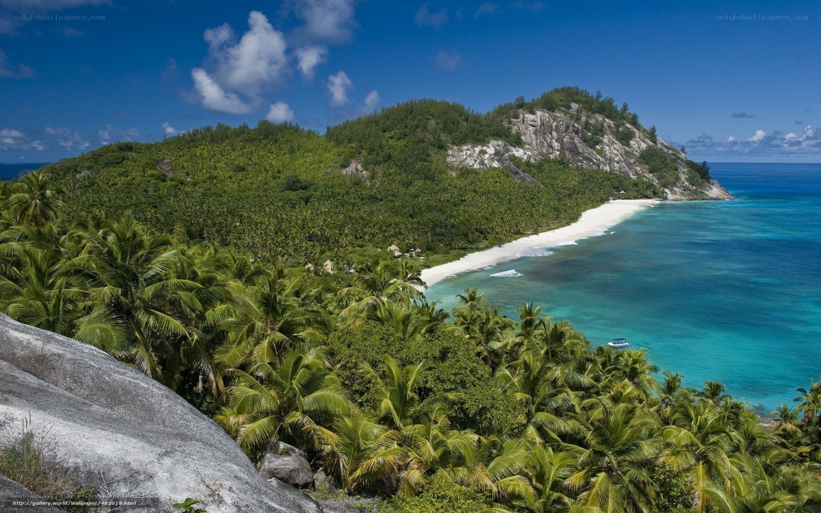 tropical island beach landscape