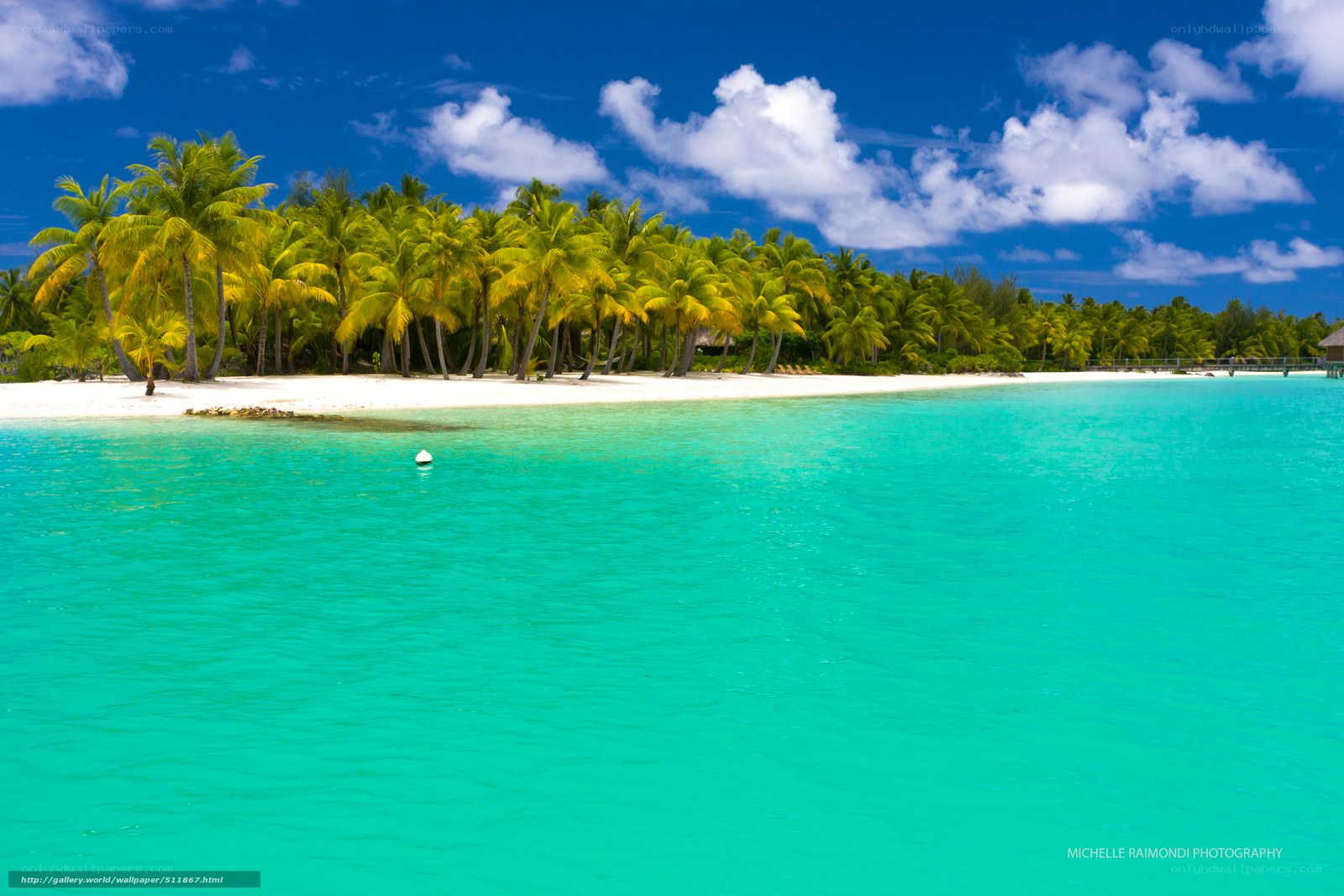 tropical island beach paradise