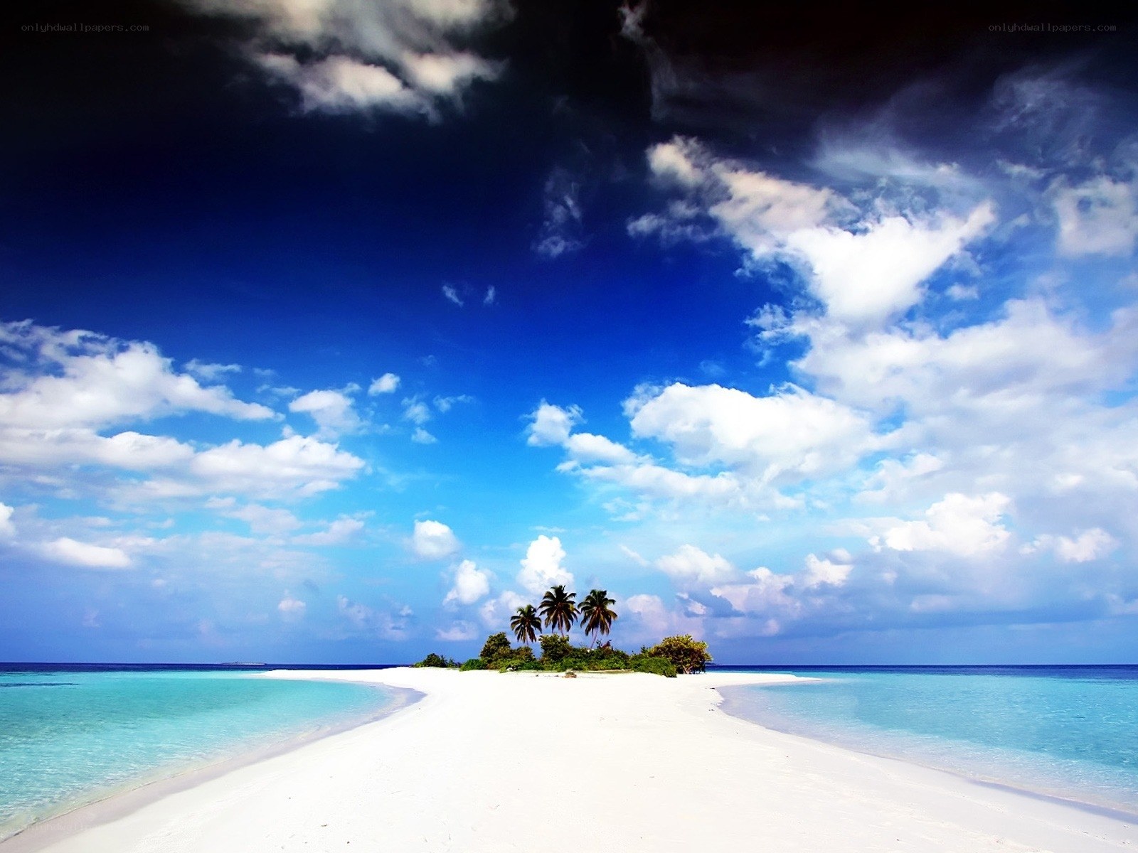 Tropical island beach paradise