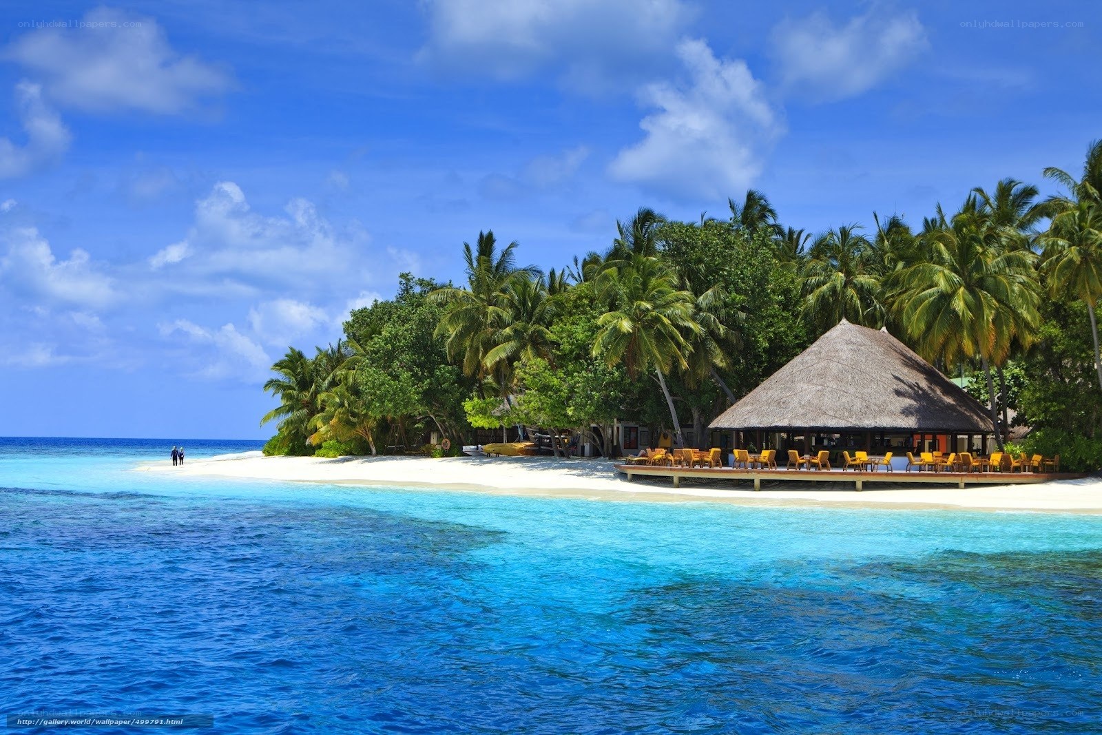 tropical island beach resort
