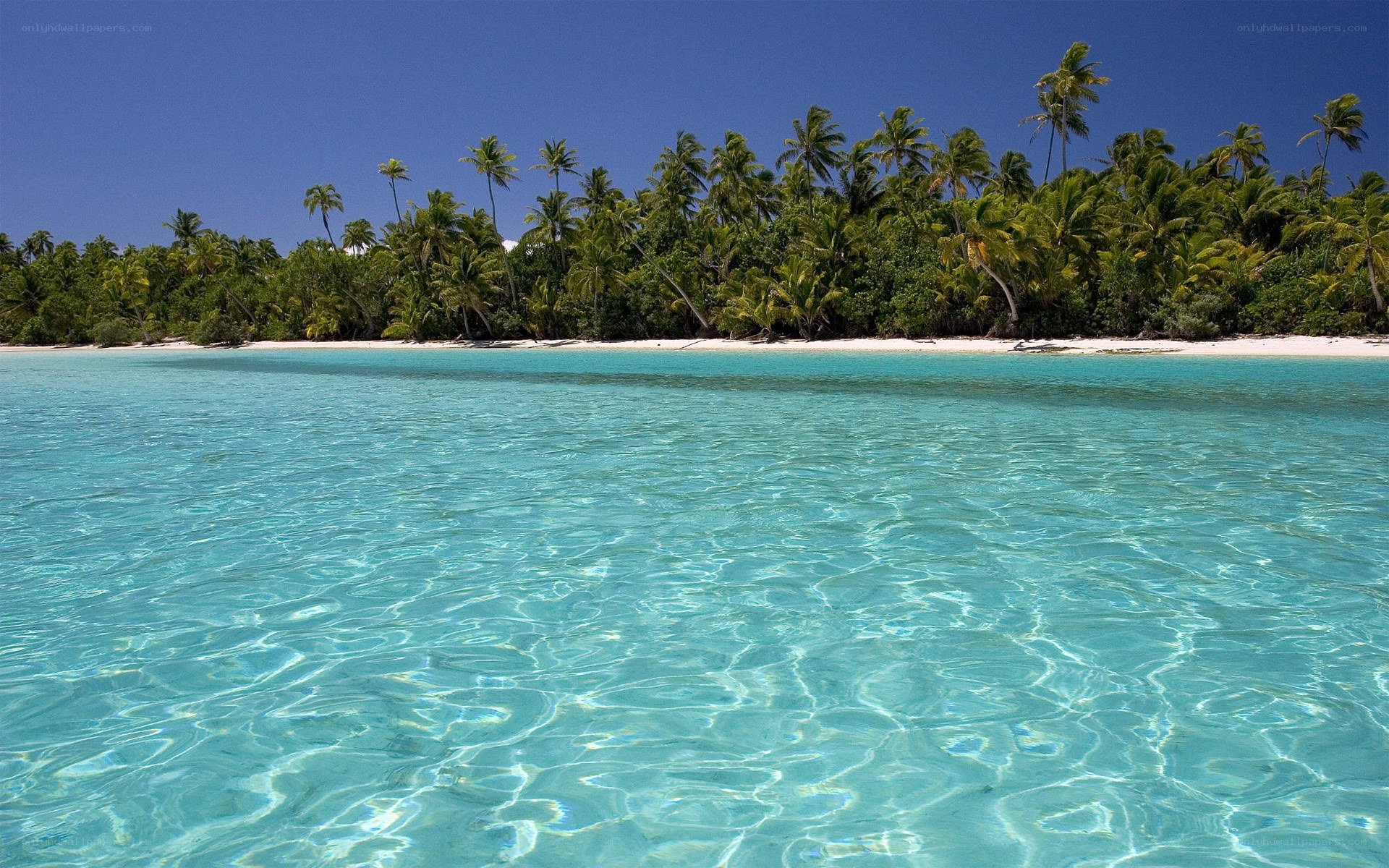 tropical island beach scene