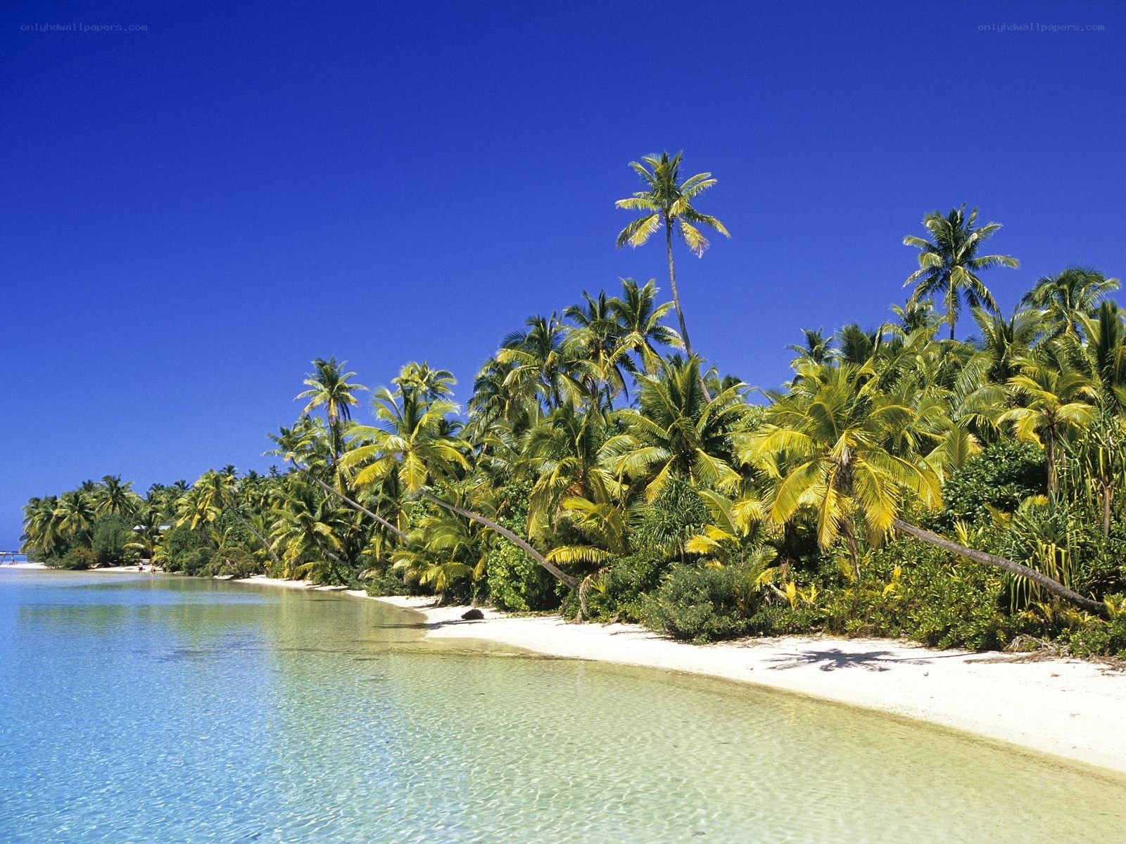 tropical island beach scene