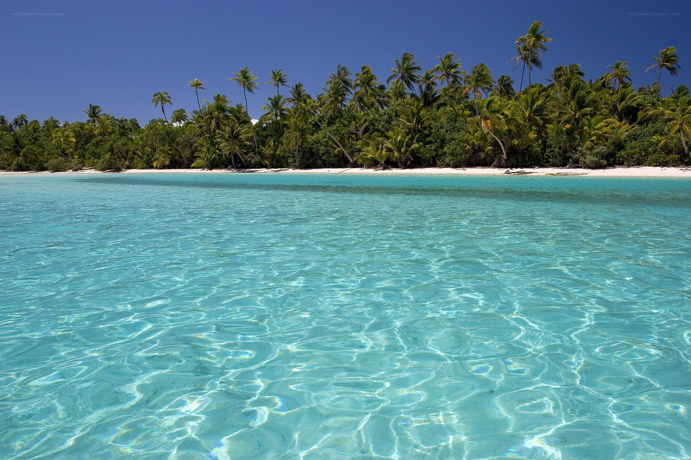 tropical island beach scene