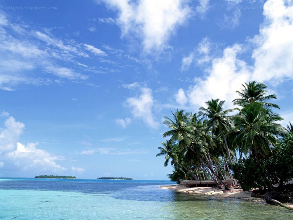 tropical island beach scene