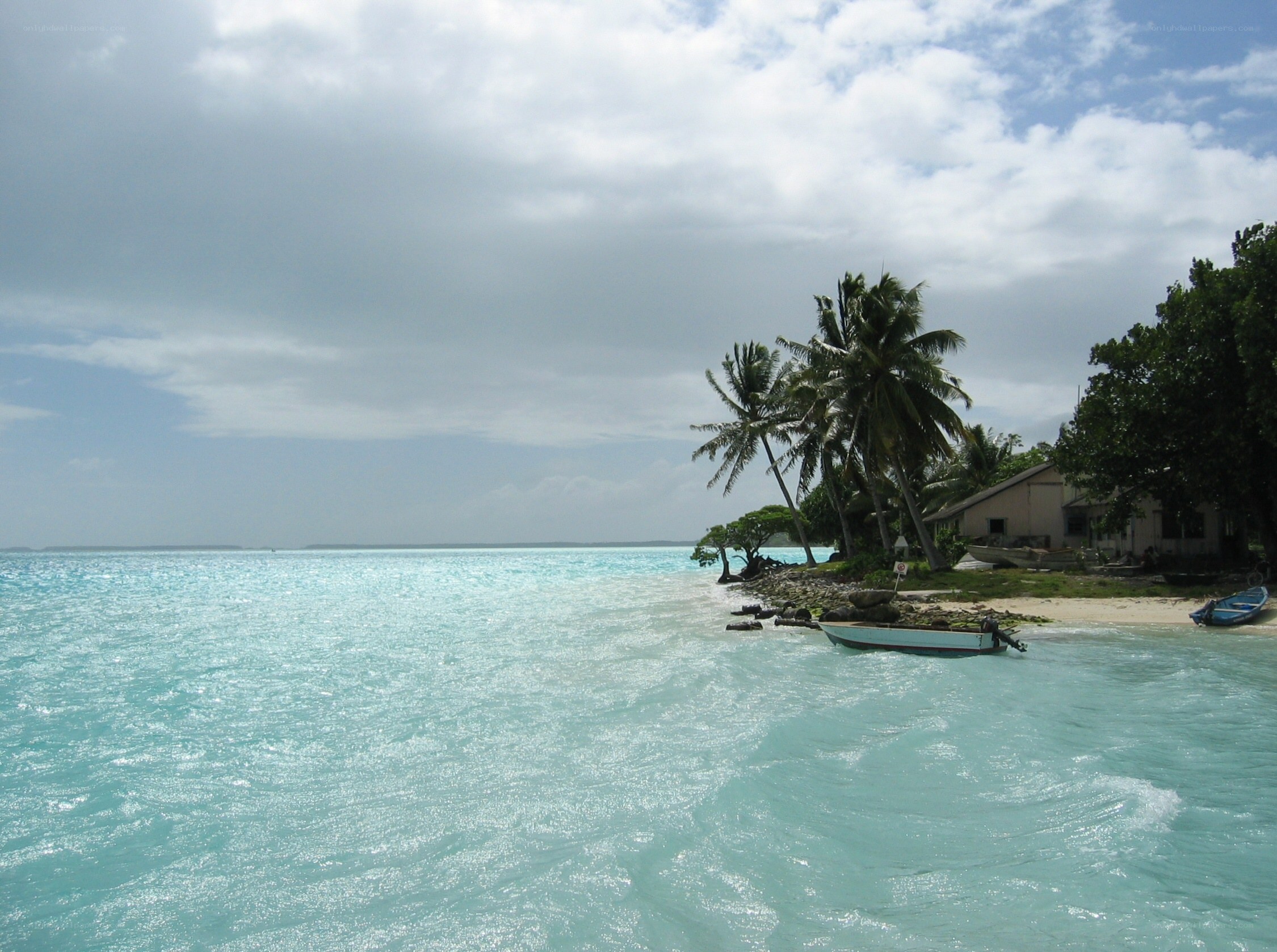 tropical island beach scene
