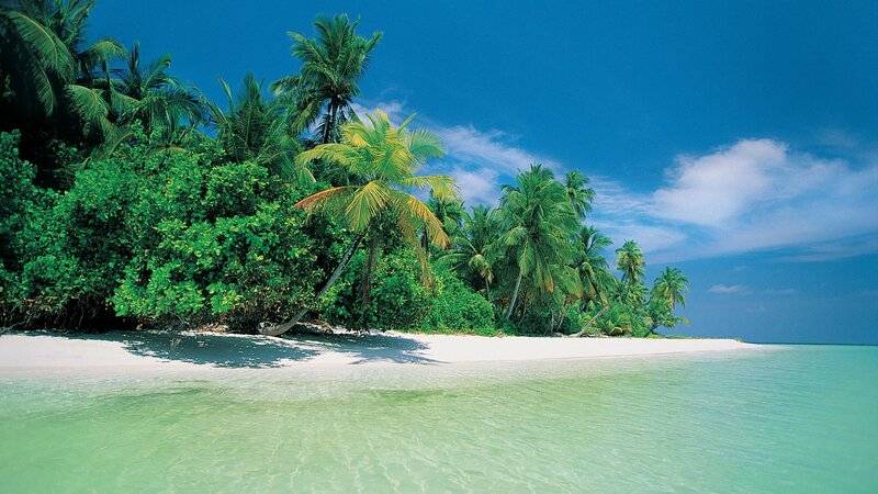 tropical island beach scene