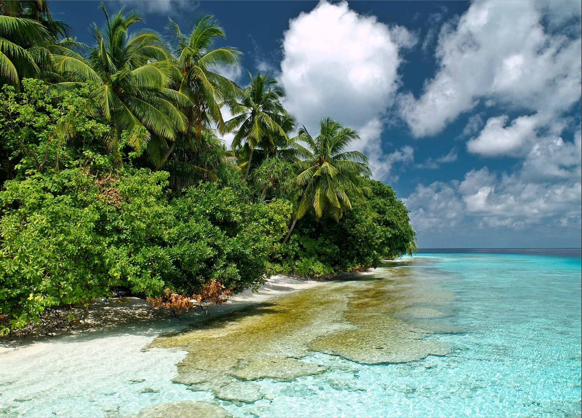 tropical island beach scene