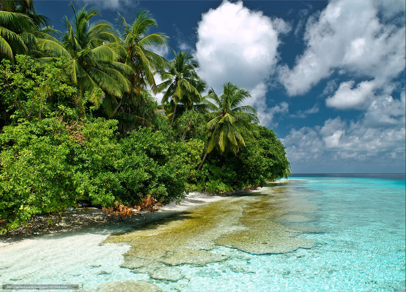 tropical island beach scene