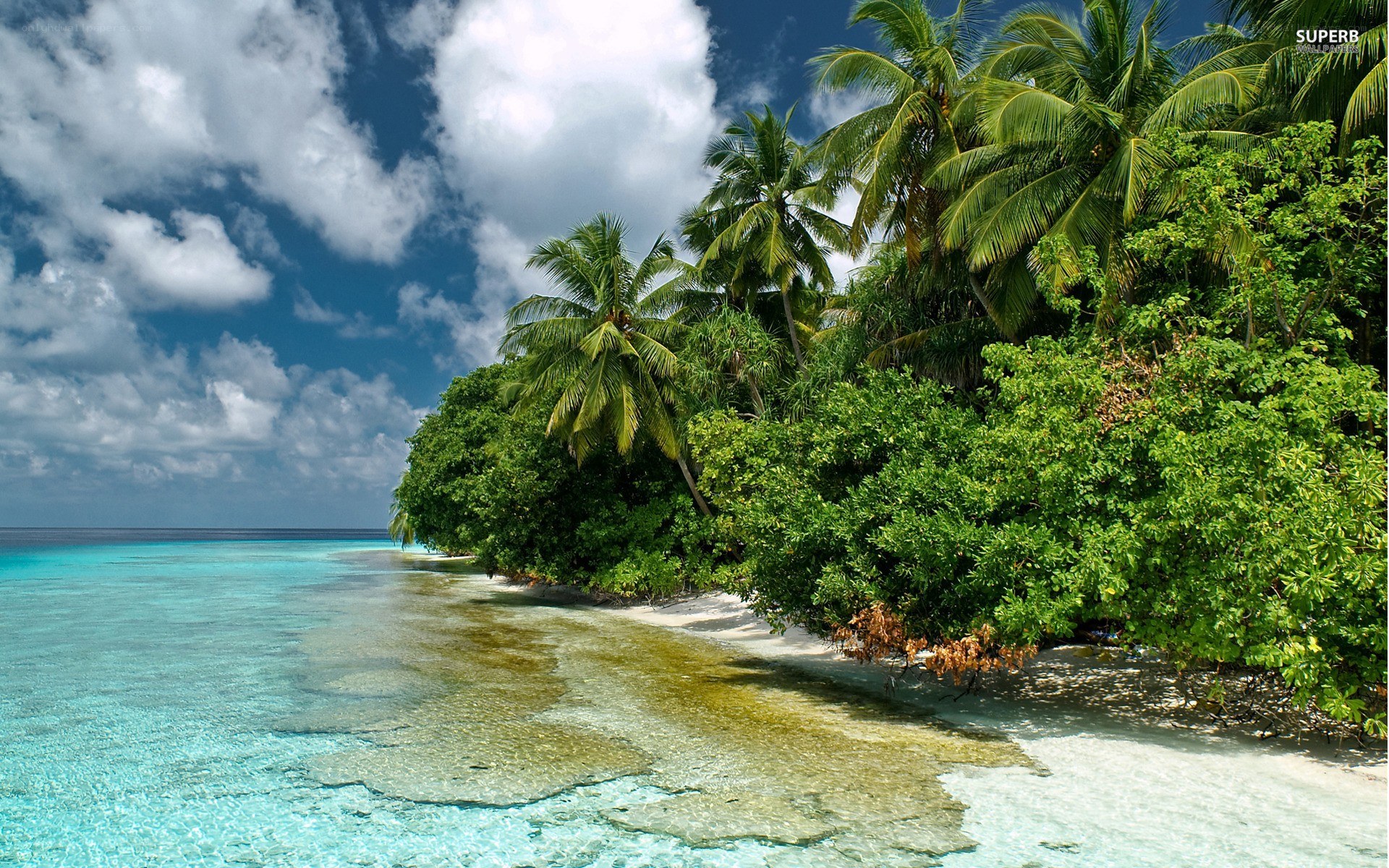 tropical island beach scene