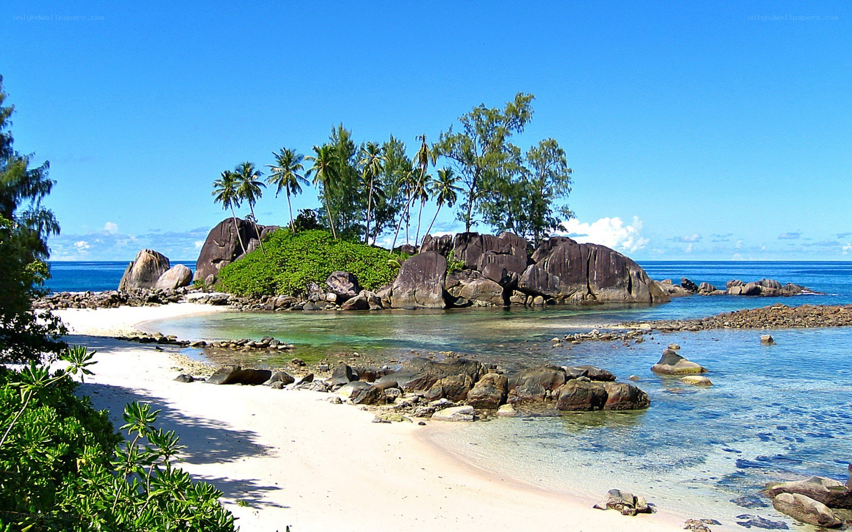 tropical island beach scene