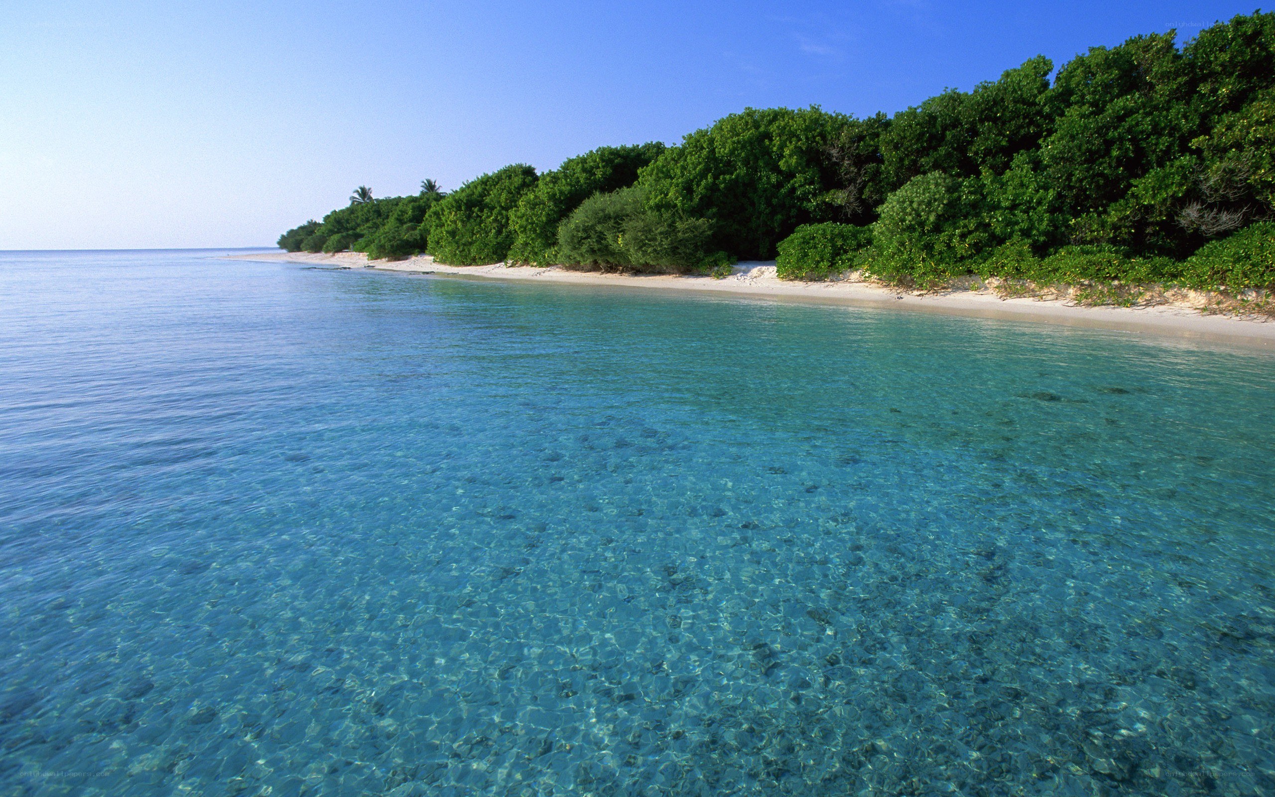 tropical island beach scene