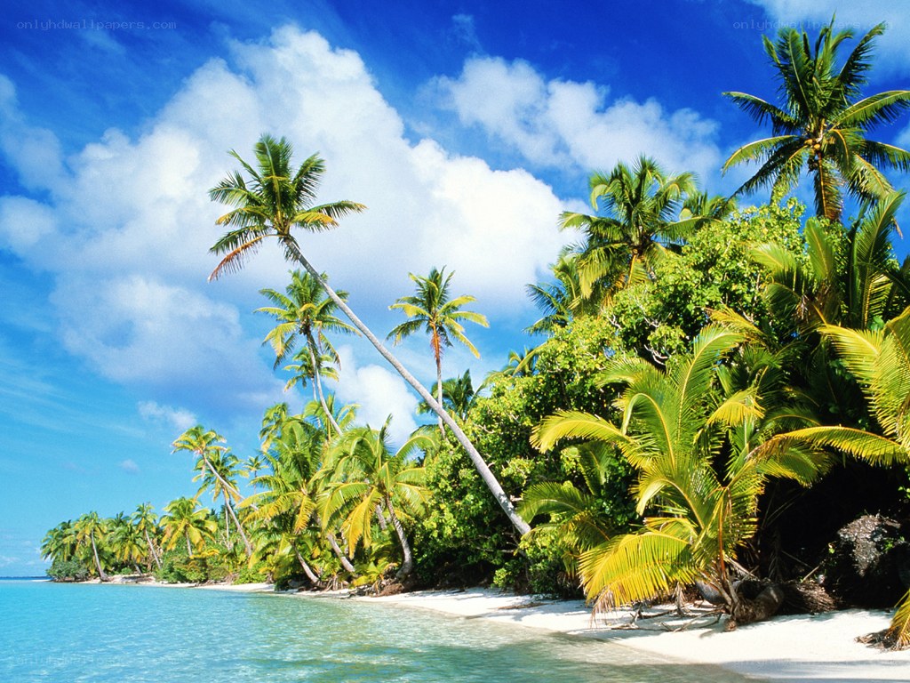 tropical island beach scene