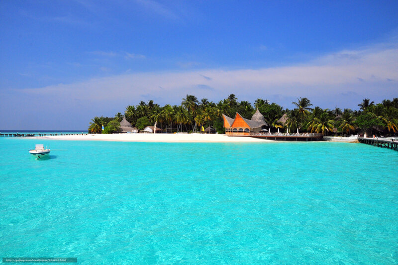tropical island beach scene