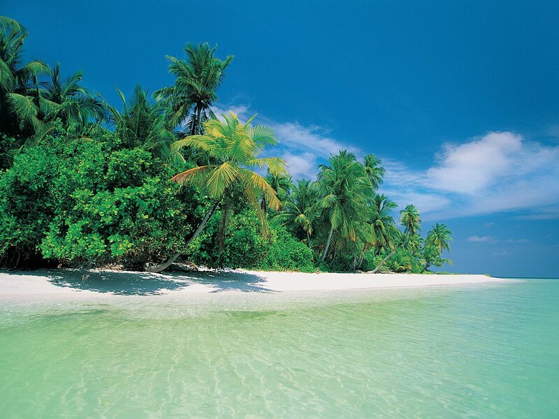 tropical island beach scene