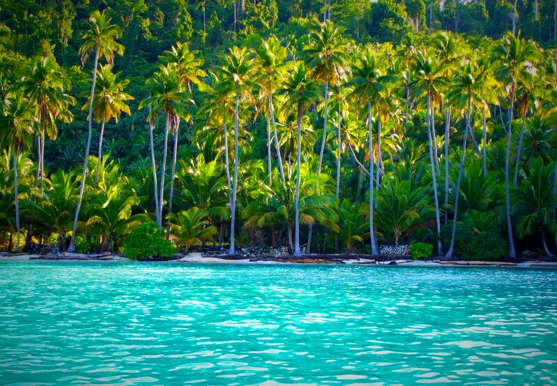 Tropical Island Beach — Turquoise