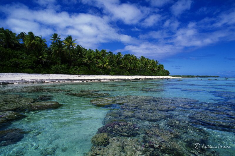 tropical island beach with coral reef
