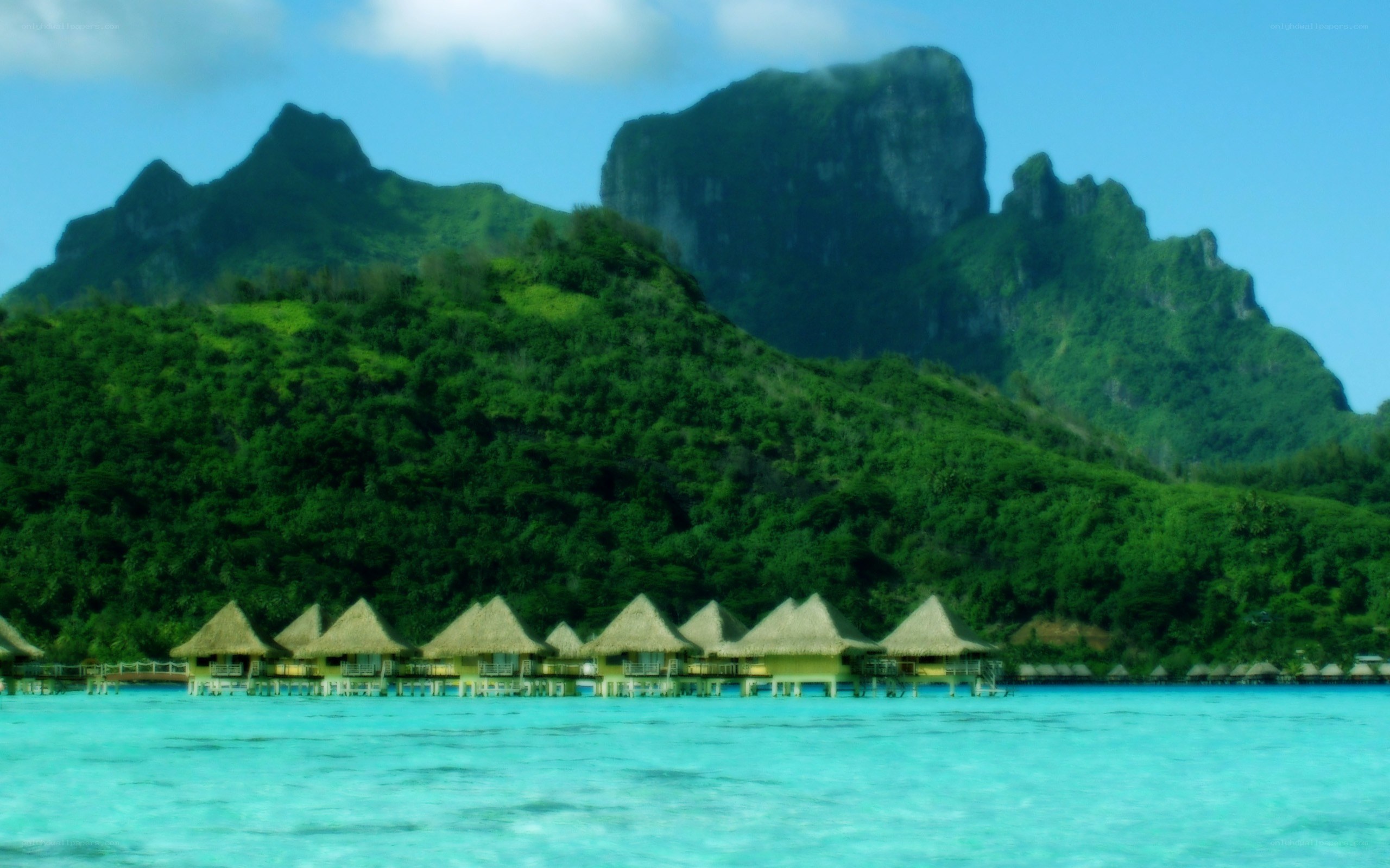 tropical island bungalows