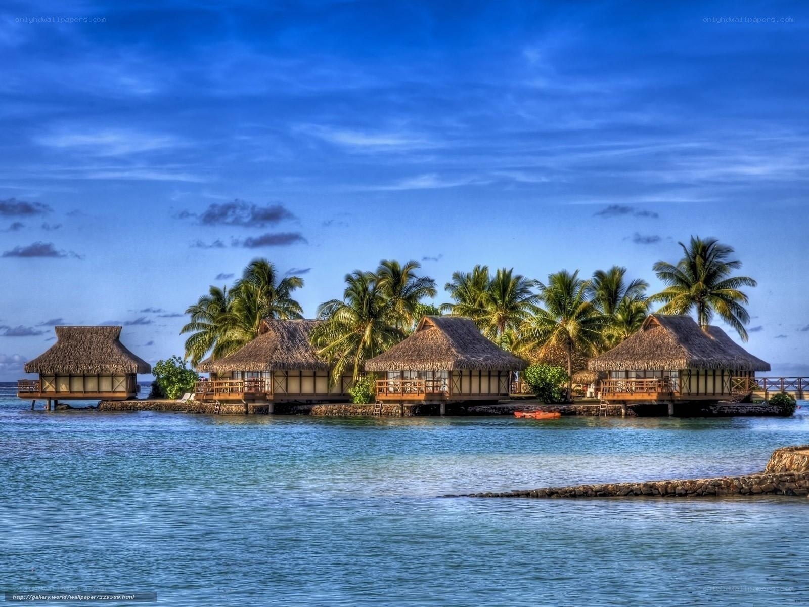Tropical island bungalows