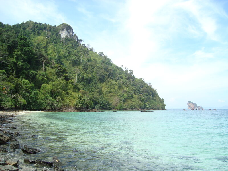Tropical Island Coast — Green