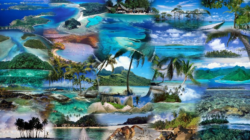 Tropical Island Collage