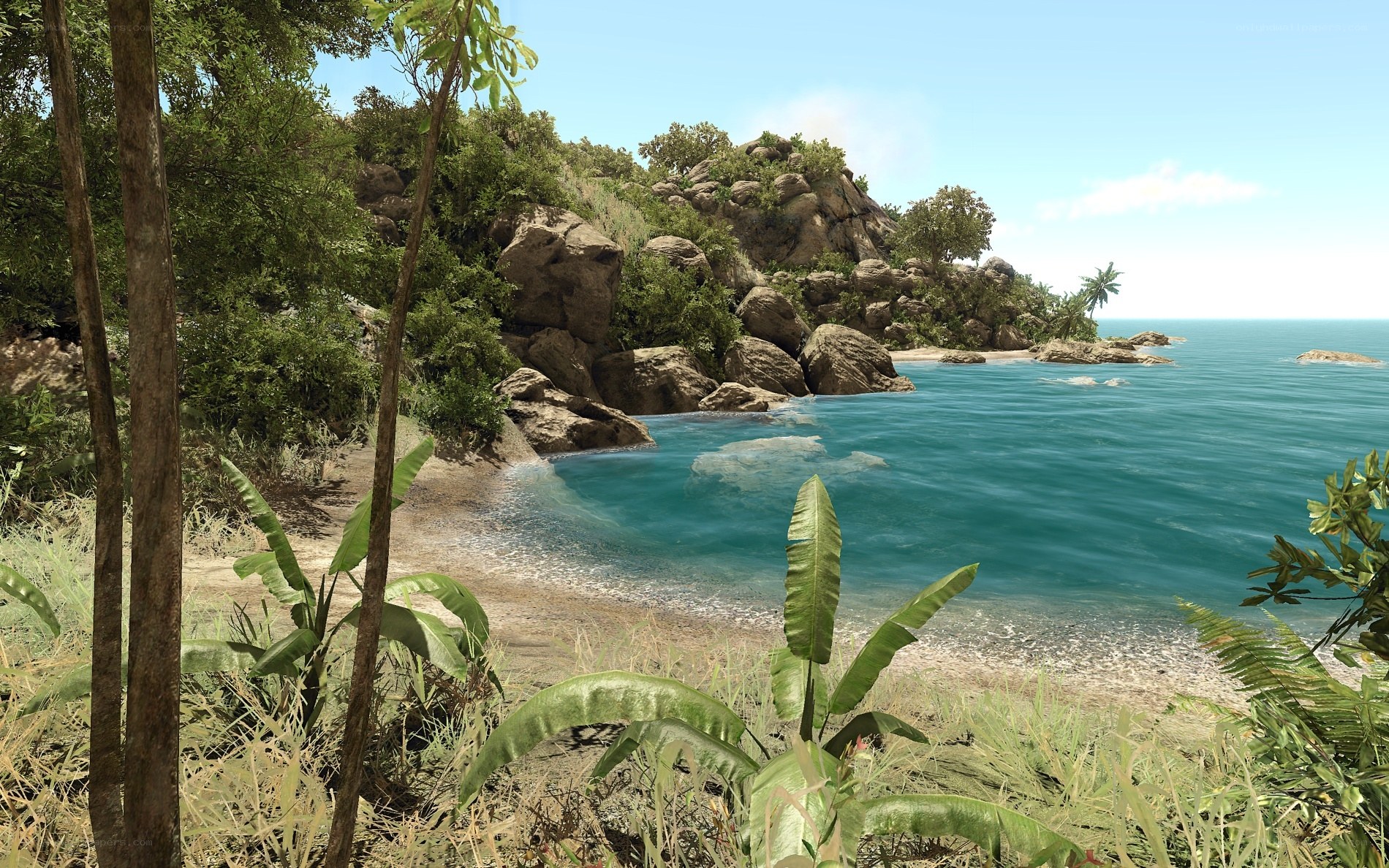 tropical island cove