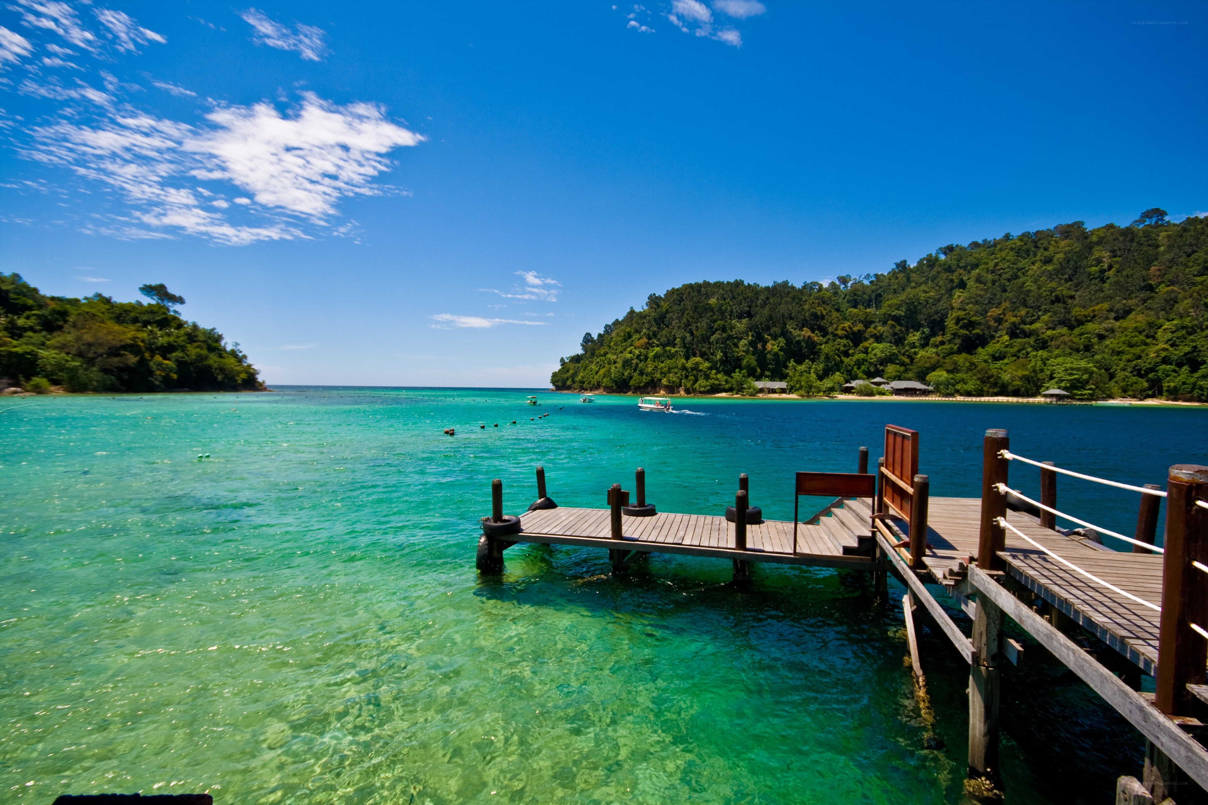 tropical island dock scene