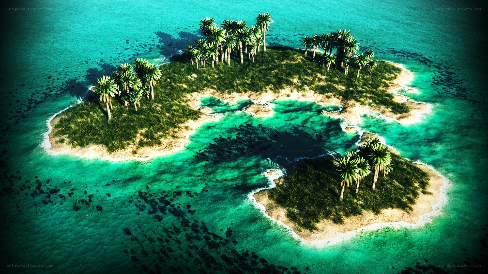 tropical island from above