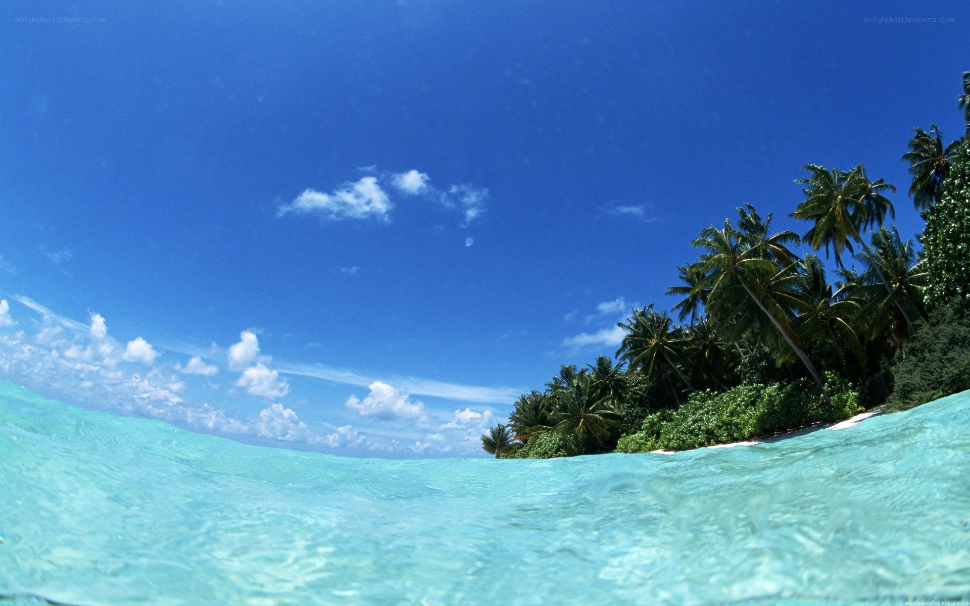 tropical island from water