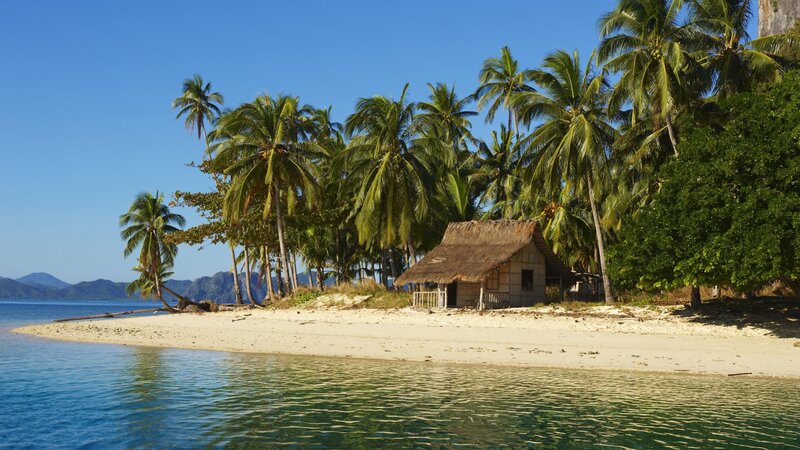 tropical island hut with palm trees
