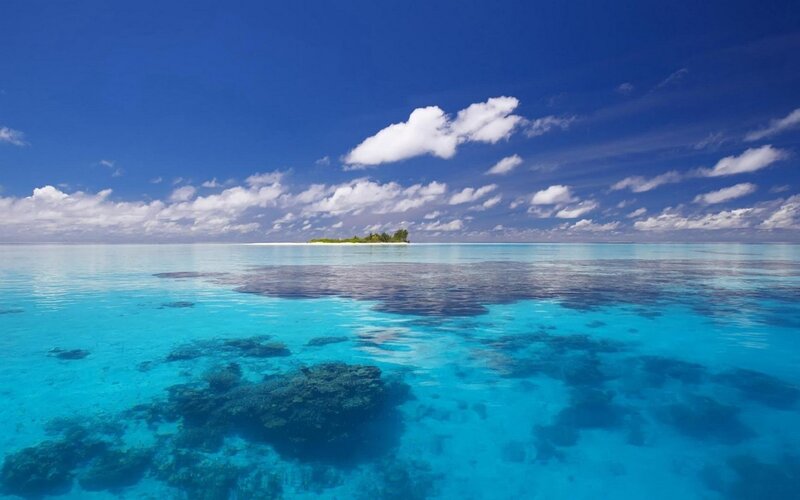 tropical island in clear blue water