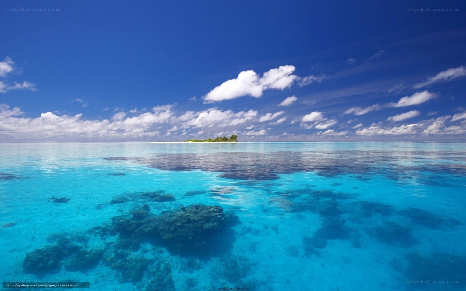 Tropical island in clear blue water