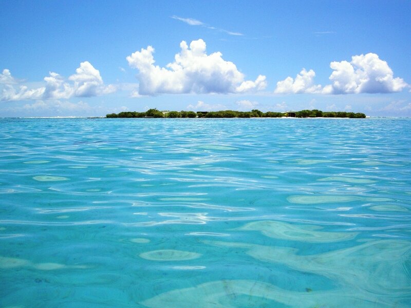 tropical island in clear blue water