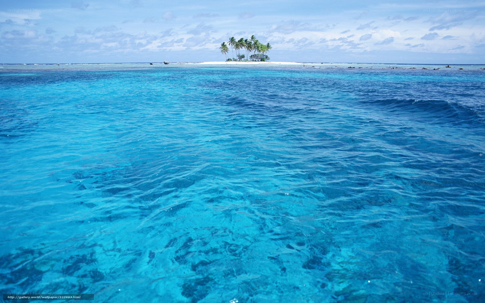Tropical island in clear blue water