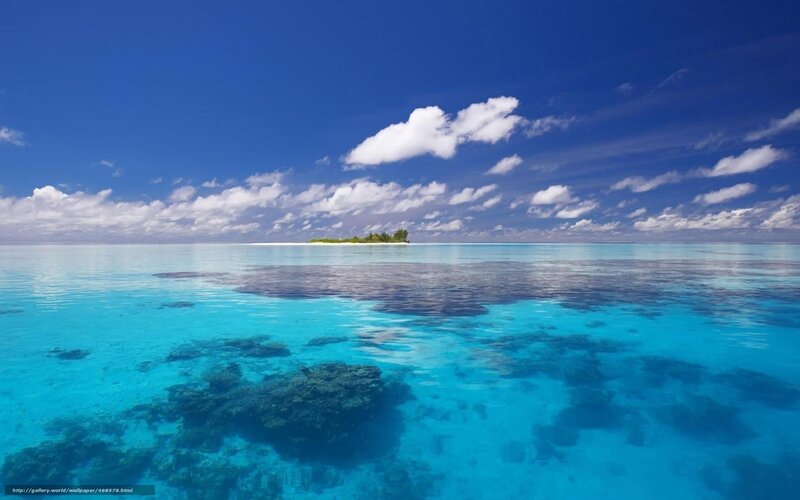 tropical island in clear blue water