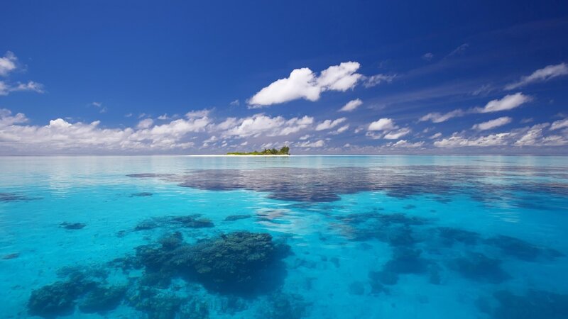 tropical island in clear blue water