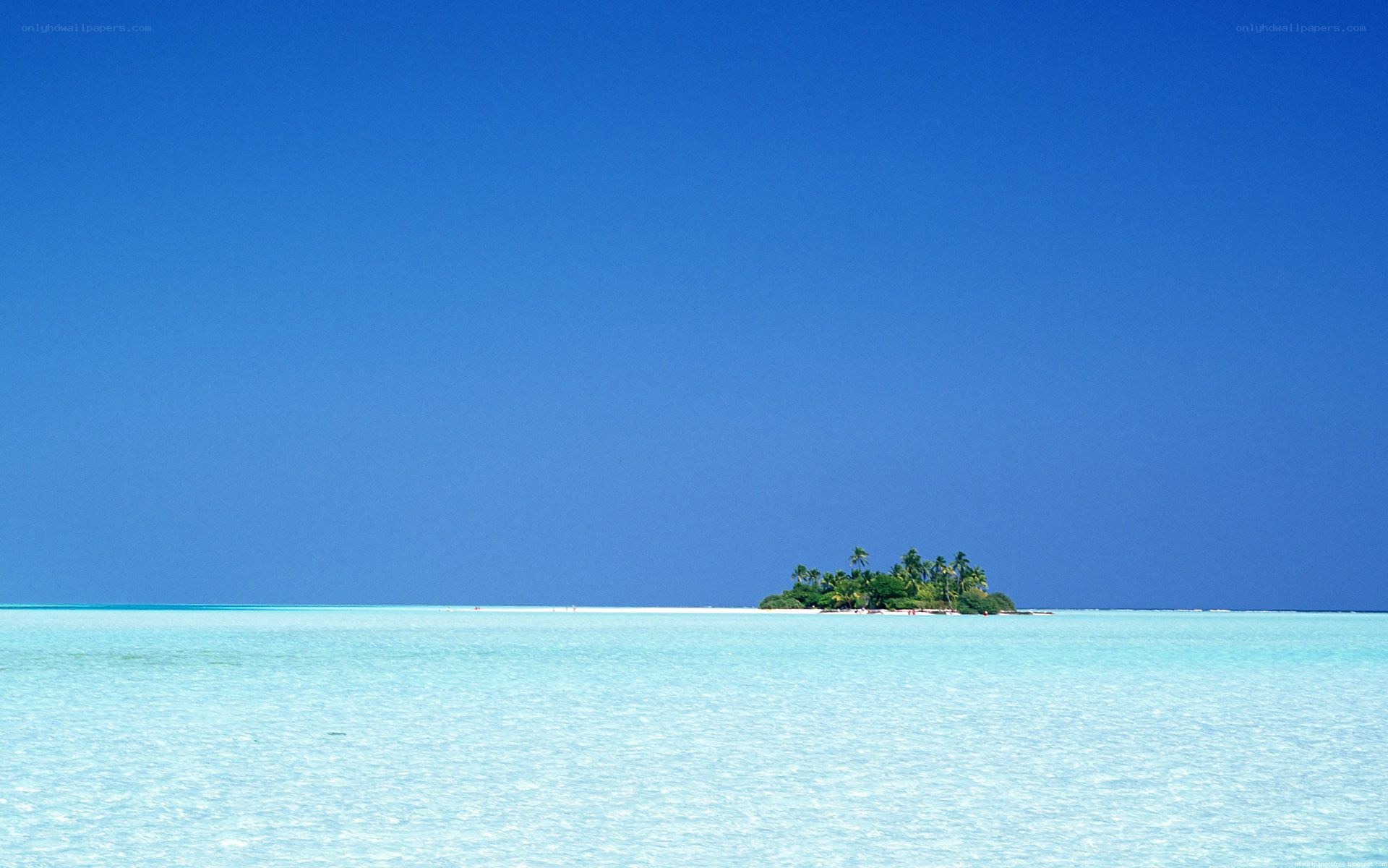 tropical island in clear waters